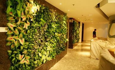 仿真植物墻 仿真植物墻